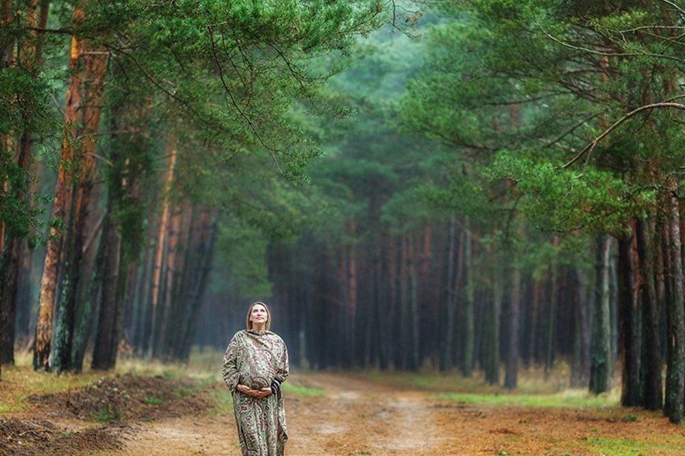 В сказочном лесу