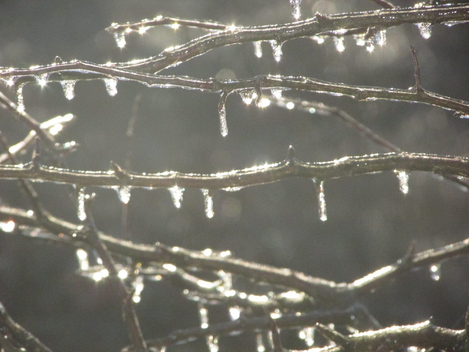 Photo #1123706