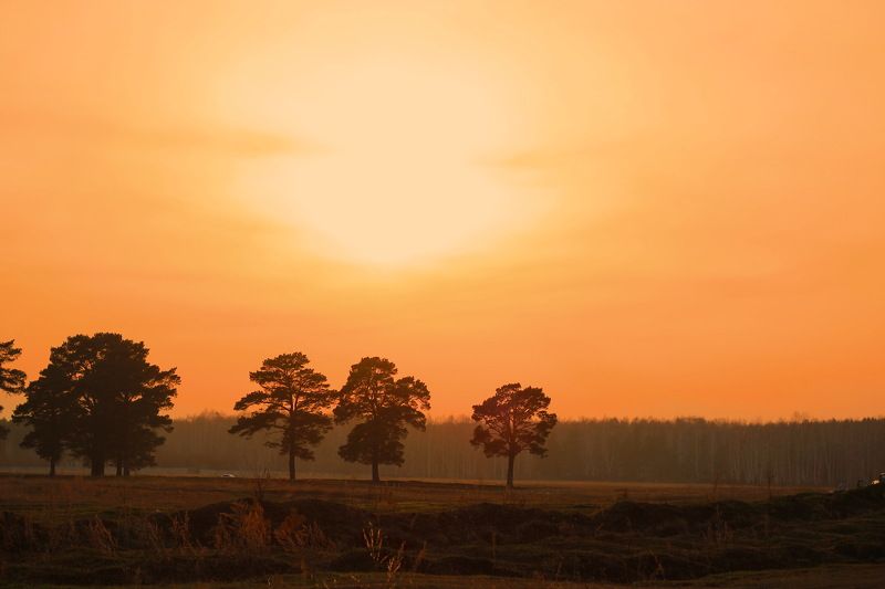 Валерия, Russia