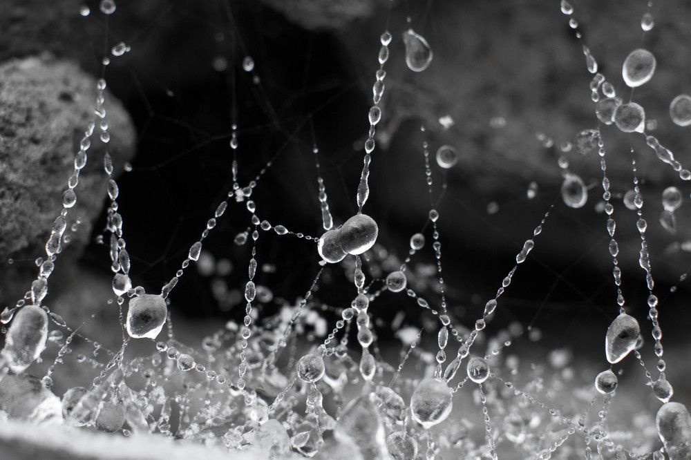 Замерзшая паутина