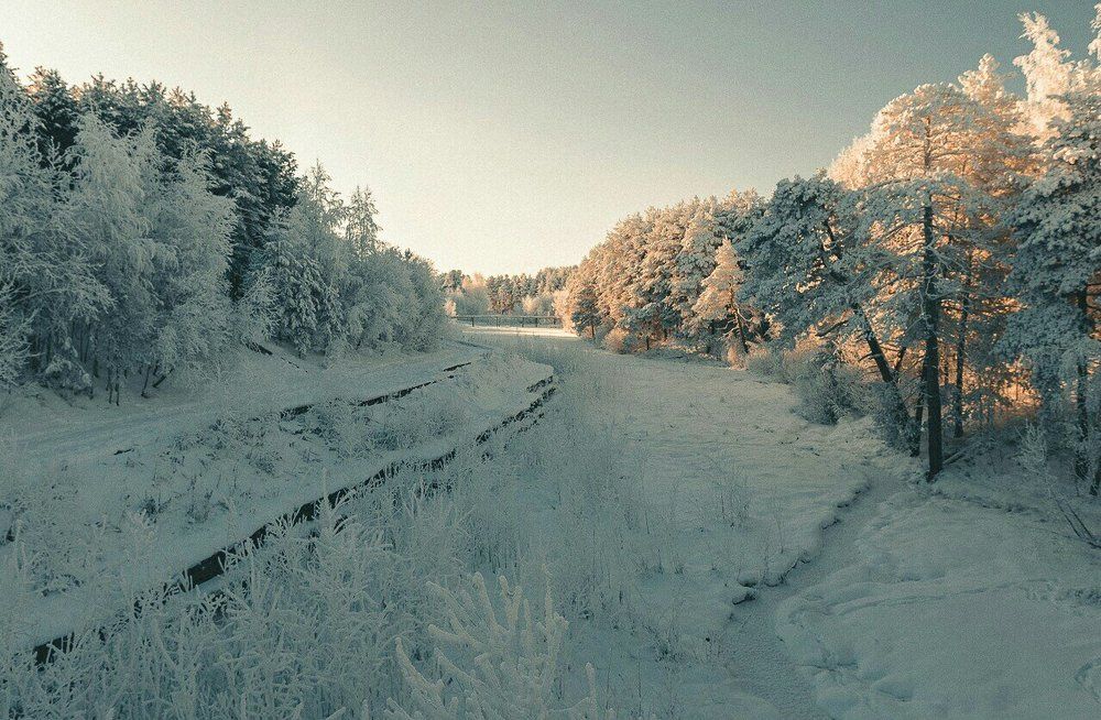 Зима в парке