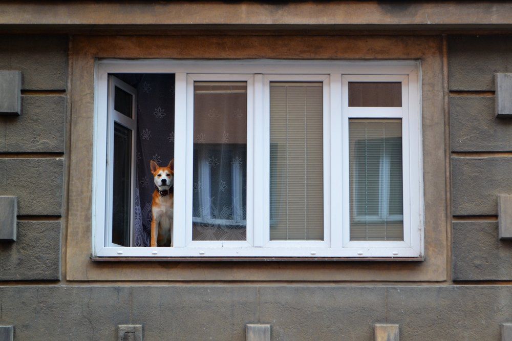 Жизнь в Праге