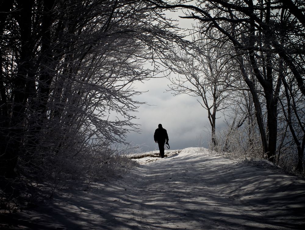 Одинокий путник