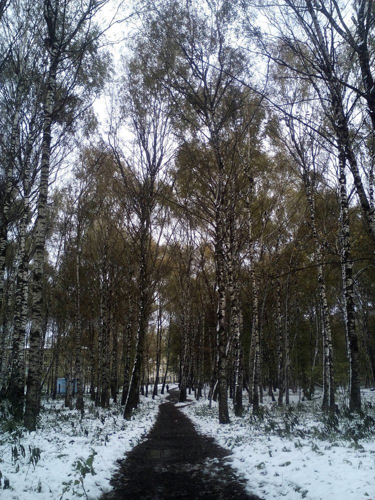 Смена сезонов.