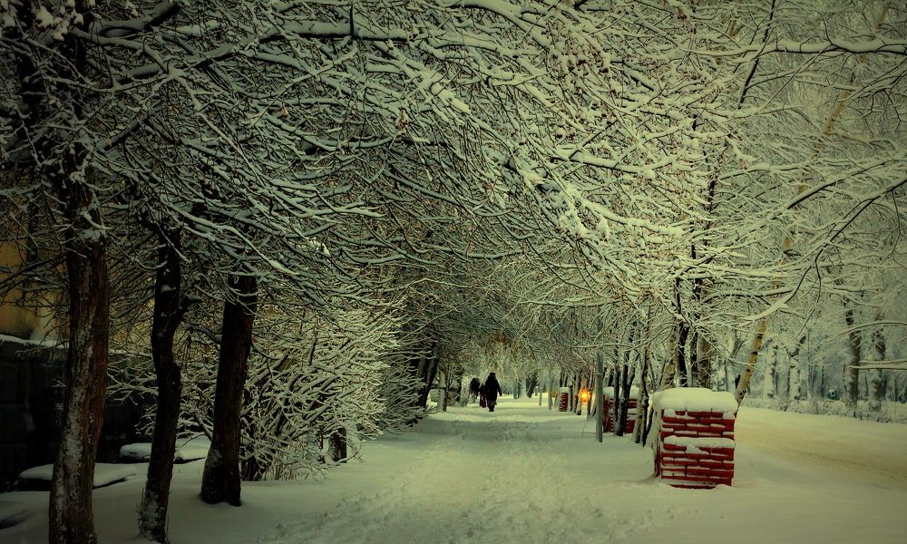 зимнее кружево