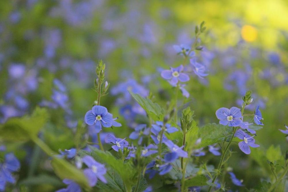 Photograph by Даша