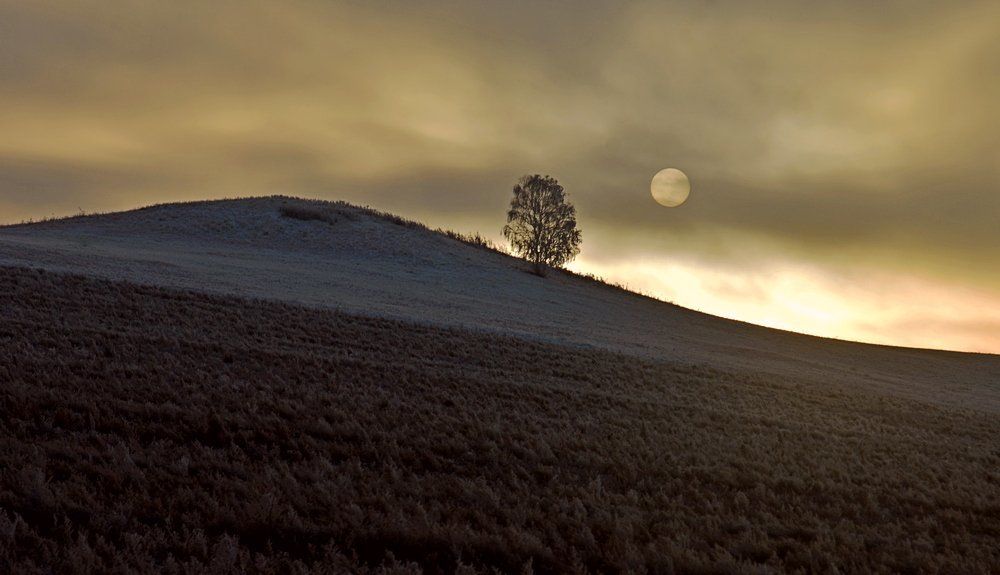 Два одиночества