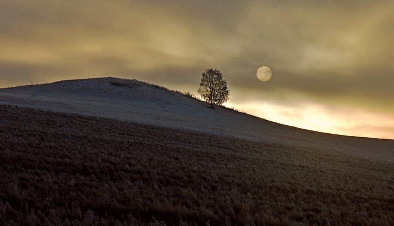 Ljudmila Shelomitskaja, Russia