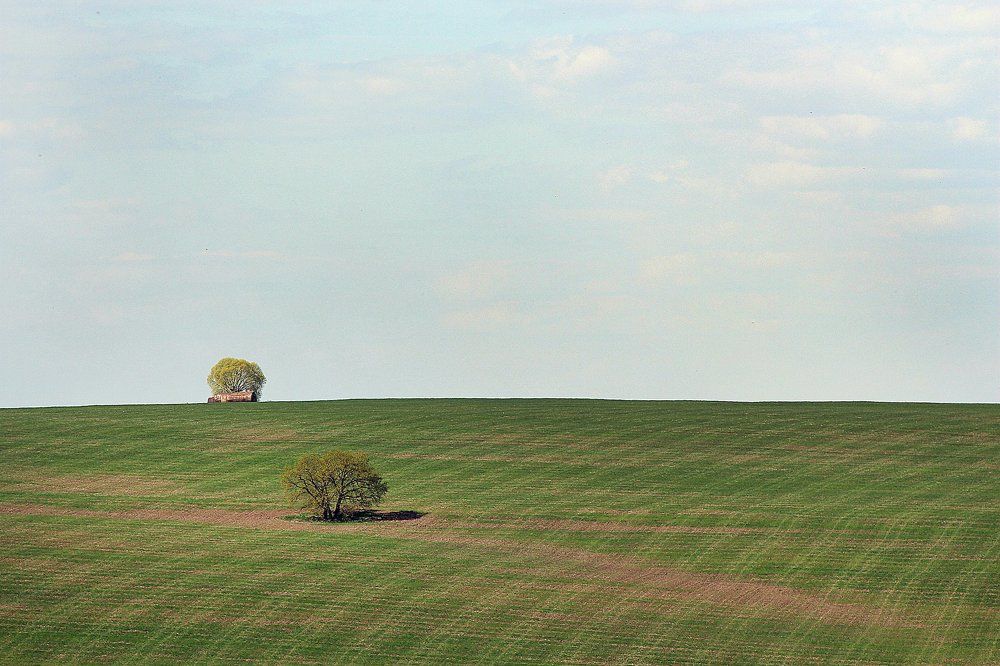 Минимализм в природе