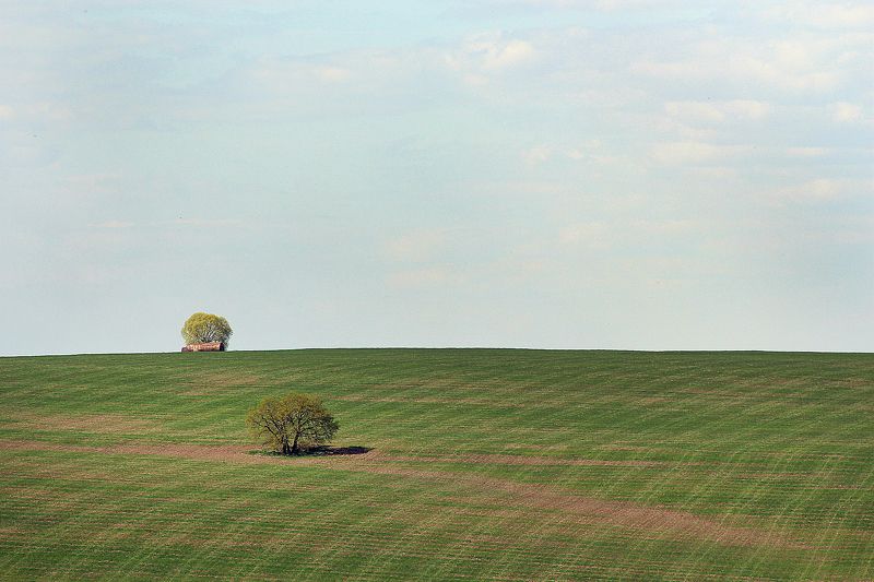 Ekaterina Podshubiakina, Russia