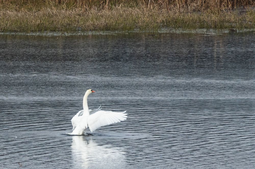 Photograph by Сергей Игнатьев