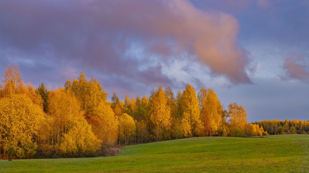 Photograph by Максим Григорьев