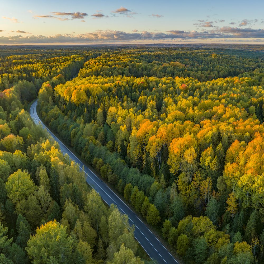 Photograph by Максим Григорьев