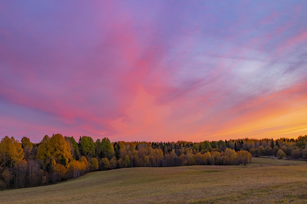 Photograph by Максим Григорьев
