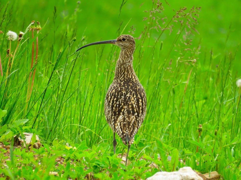 Photograph by Людмила Кононова