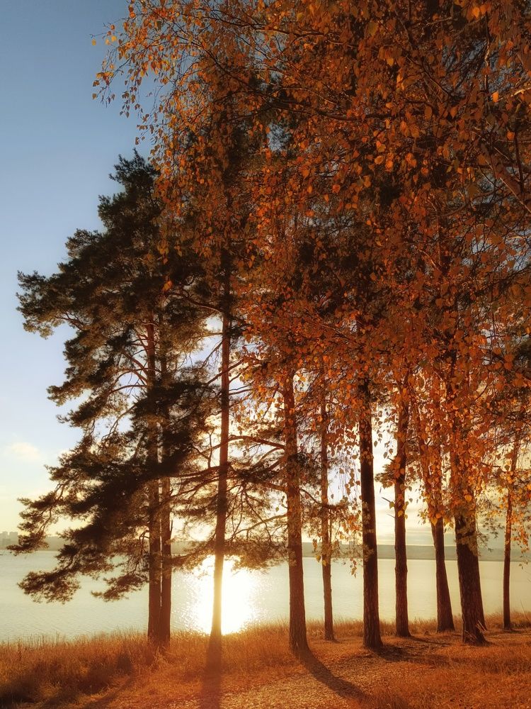 Фотография автора Ольга Кунакова