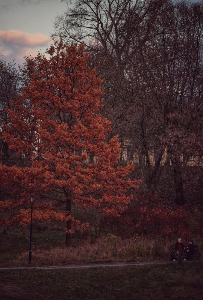 Фотография автора Ирина Шестакова