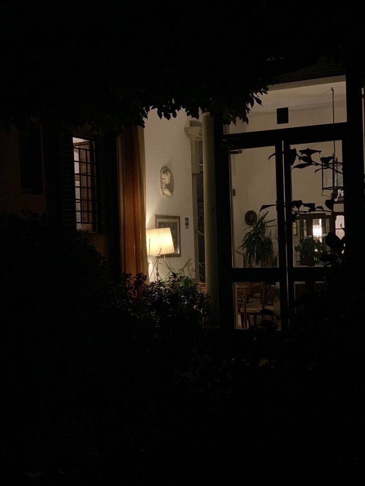 Photograph by Светлана