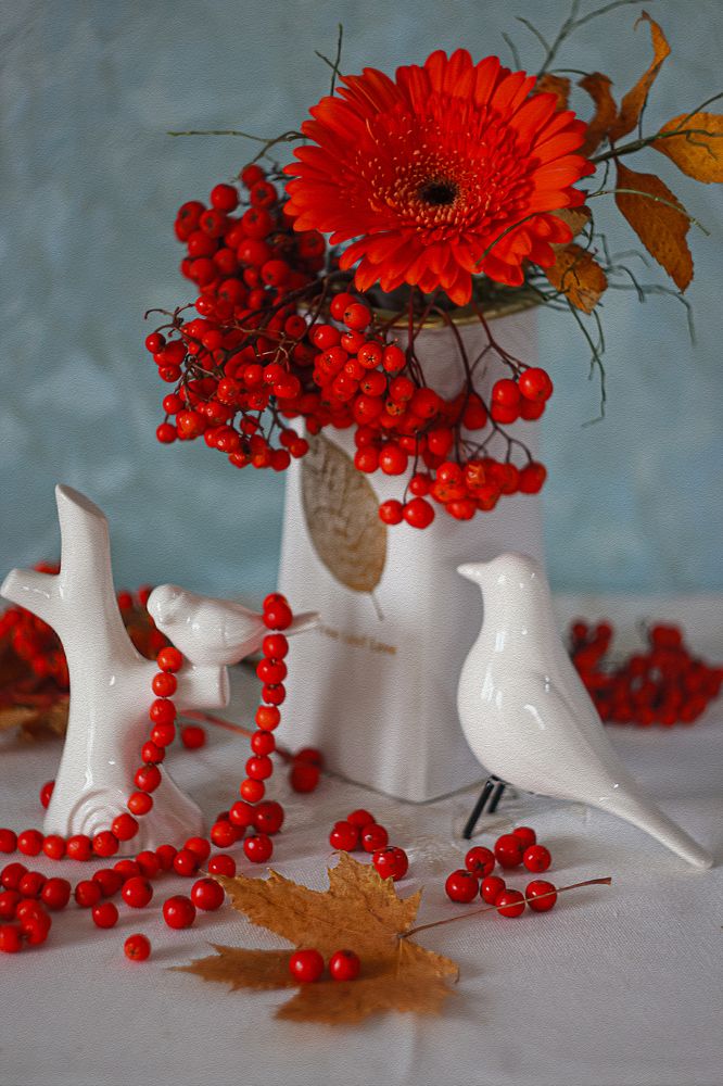 Фотография автора Елена Разина