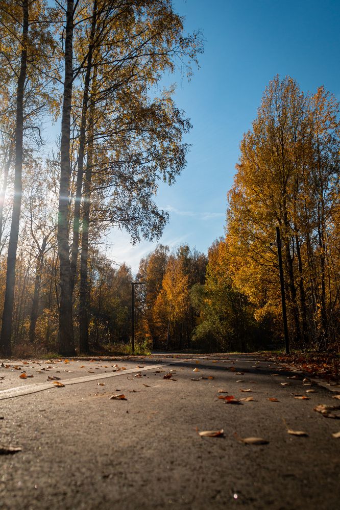 Photograph by Мария Громова