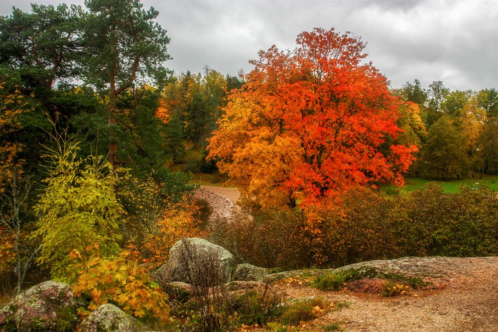 Photograph by Ольга Литвинцева