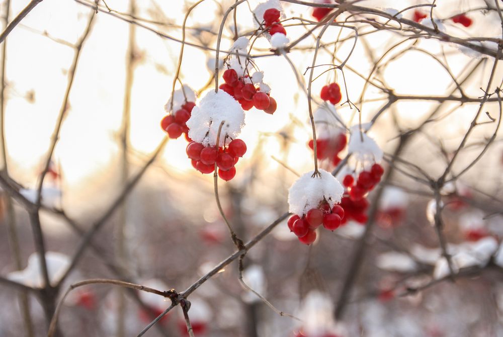 Photograph by Ольга Литвинцева