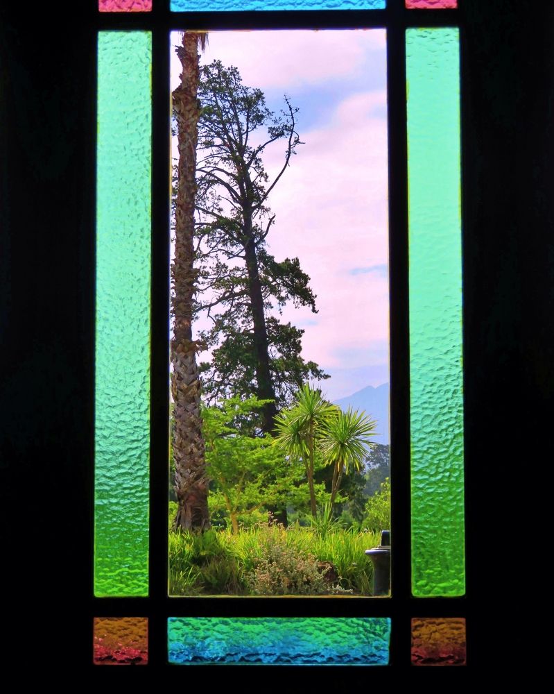 Garden through a window