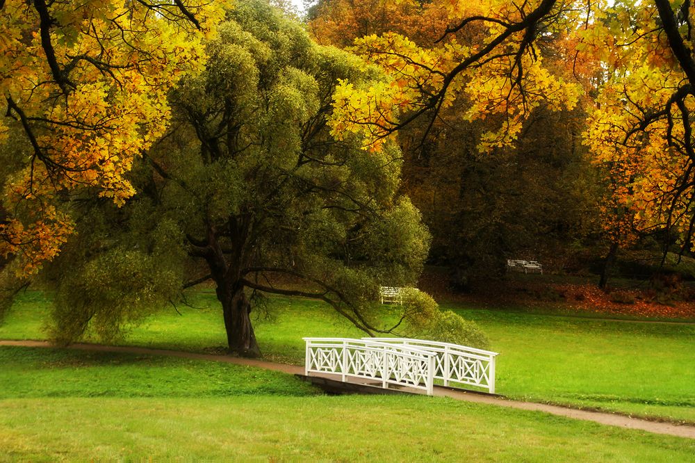 Photograph by Ольга Литвинцева