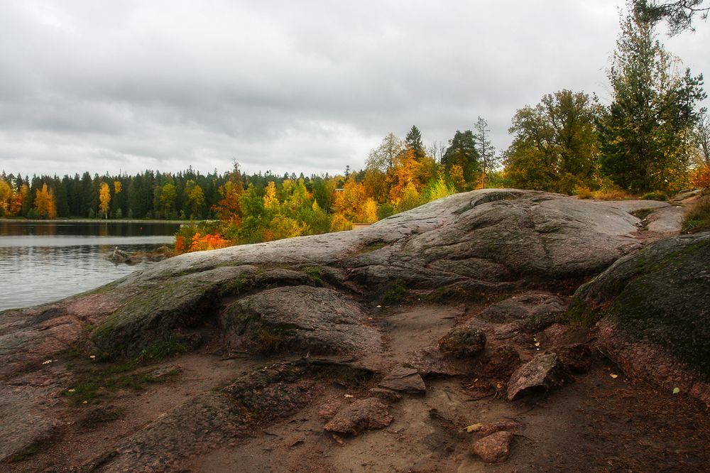 Photograph by Ольга Литвинцева