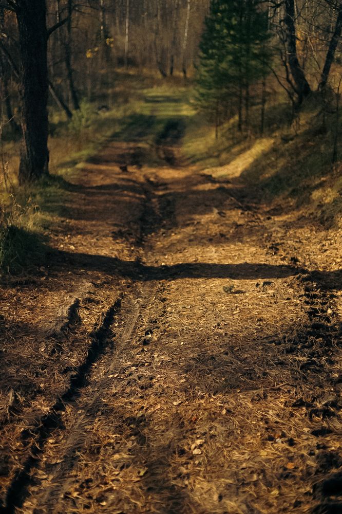 Photograph by Швай Наталья