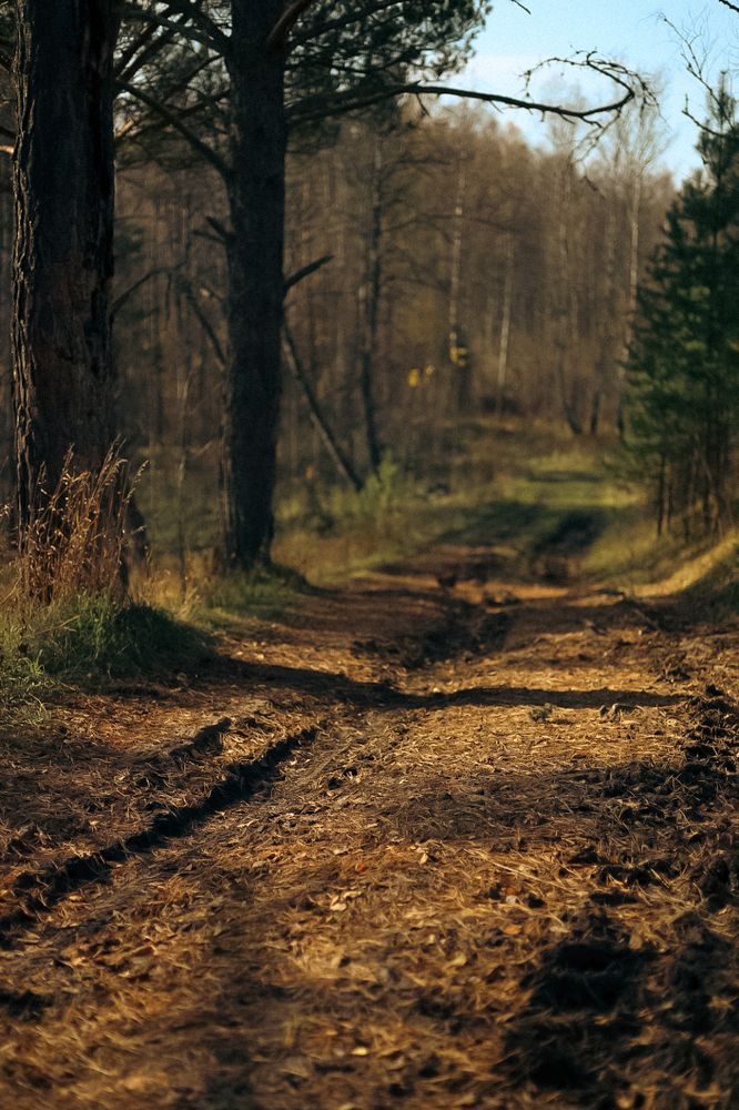 Photograph by Швай Наталья