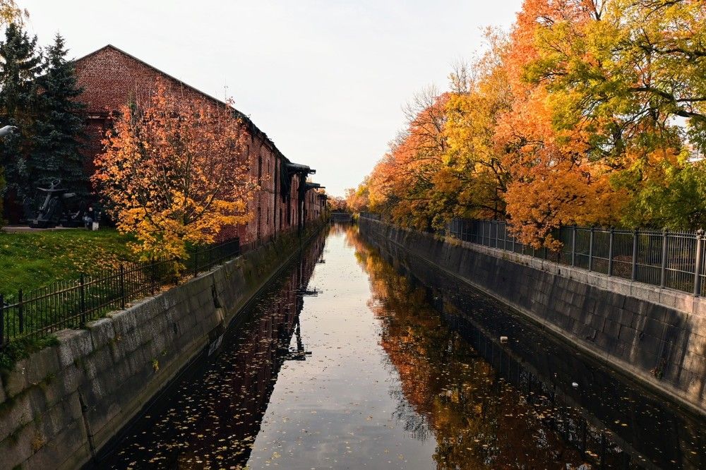 Photograph by Дарья Булавина