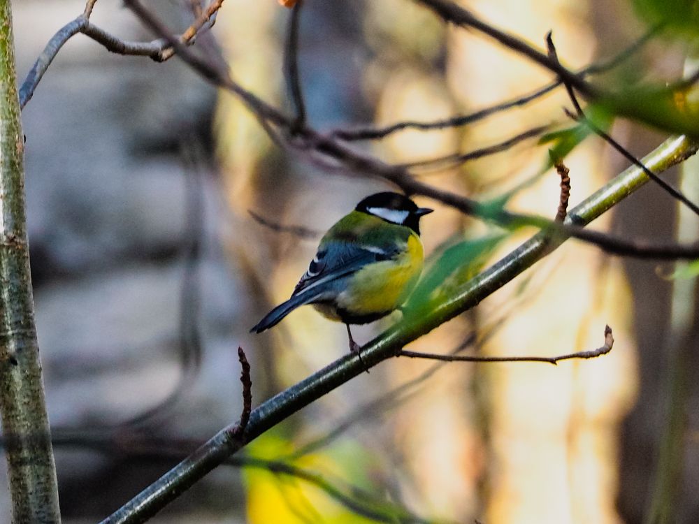 Photograph by Олег