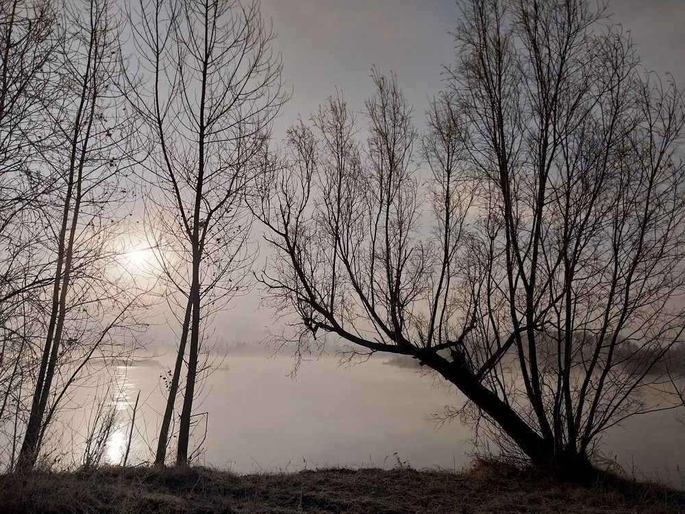 Photograph by Юлия Фирман