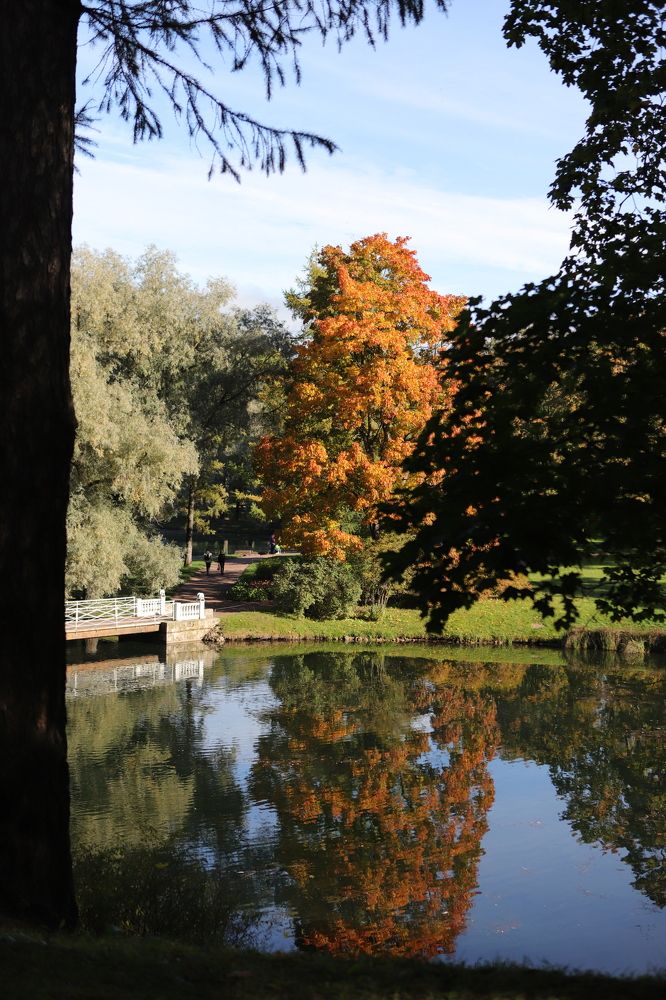 Photograph by Юлия Степанская