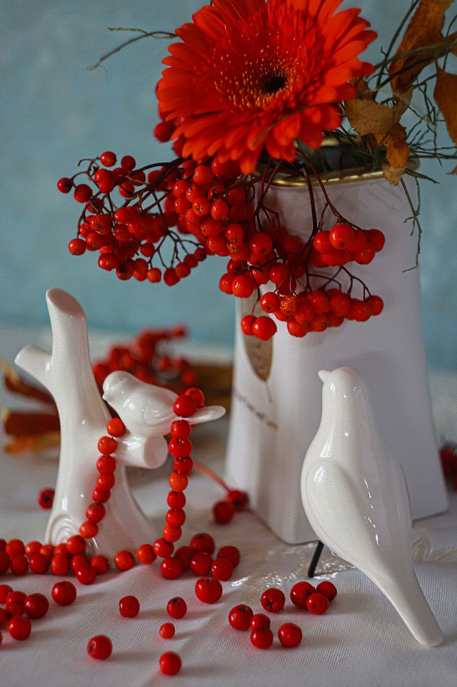 Рябиновая радость