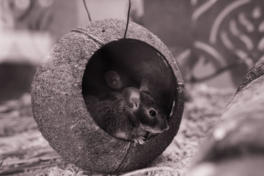 Photograph by Виктор Саврей