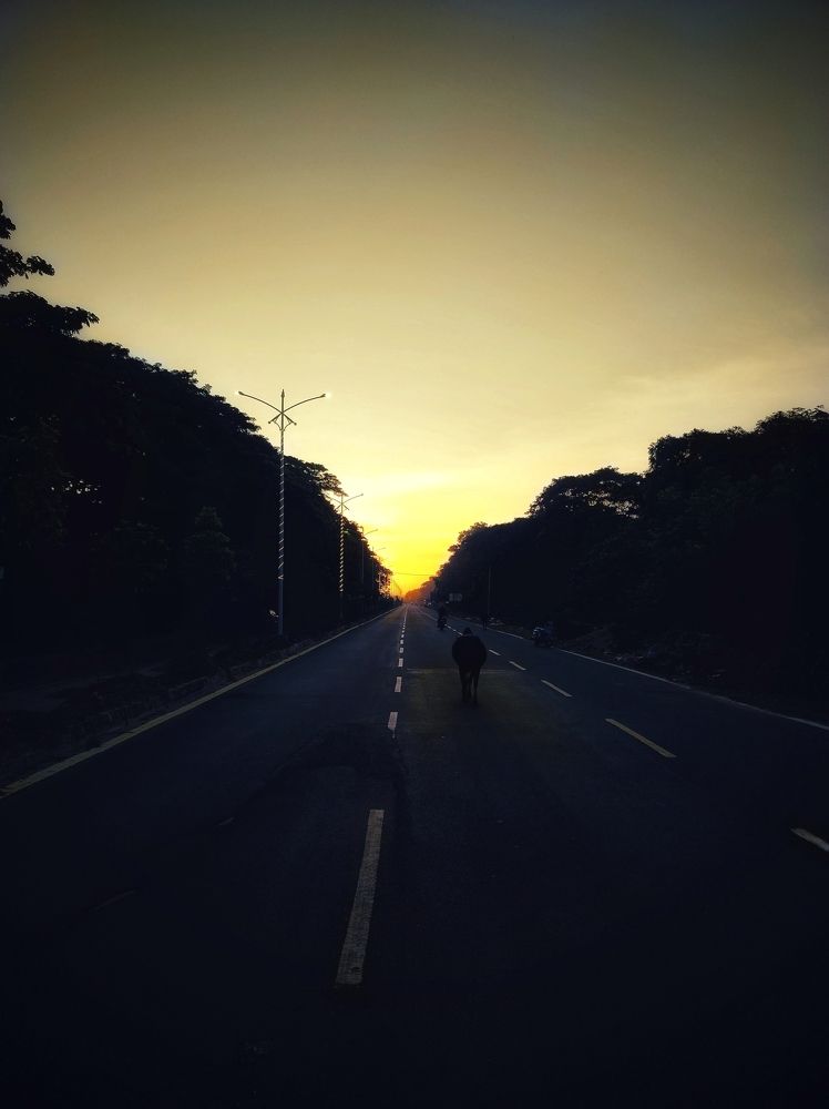 Photo #11200547