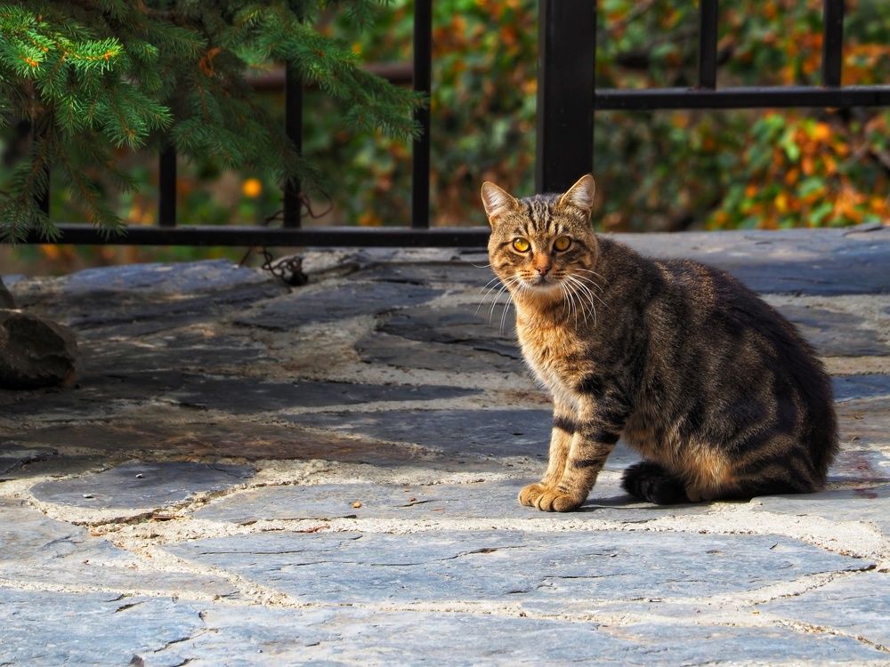 Photograph by Olga Nevedrova