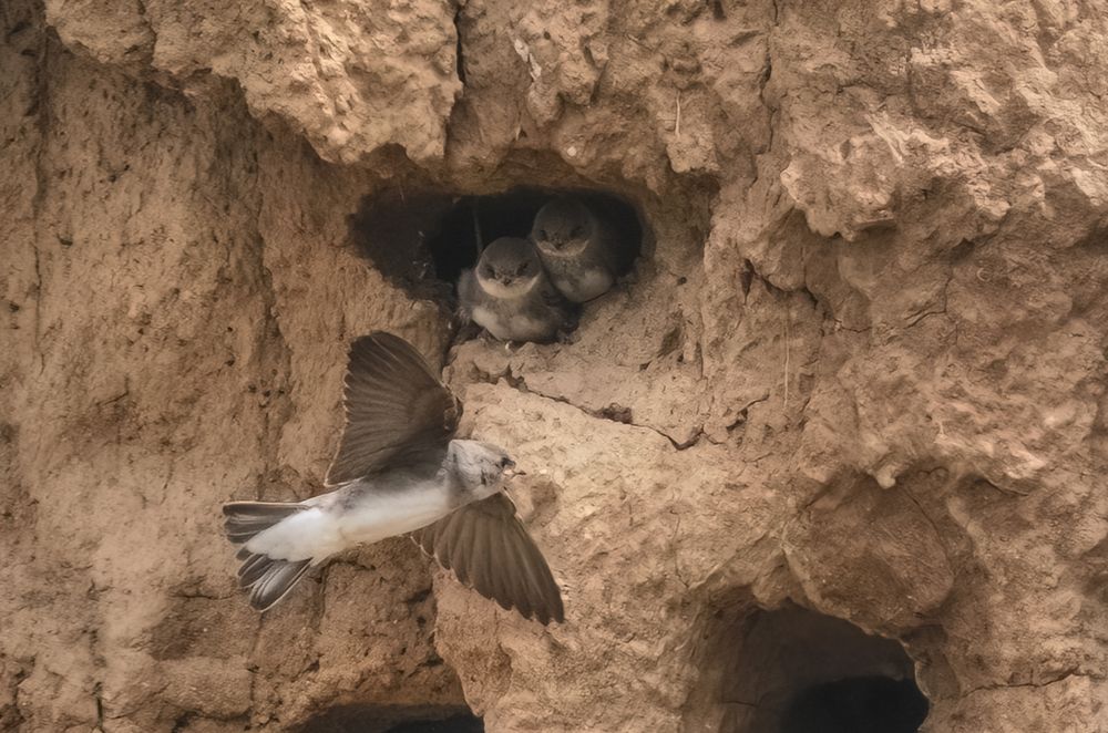 Photograph by Светлана Краюшкина