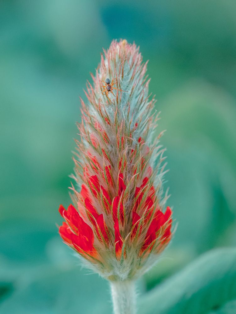 Photograph by Ирина Протченко