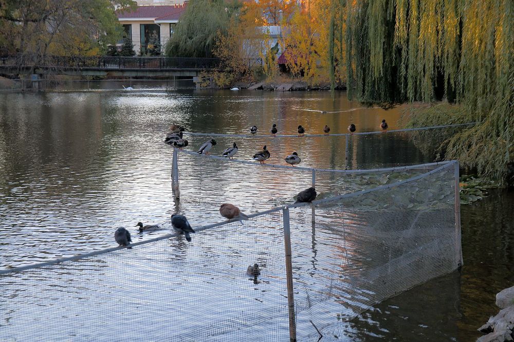 Photograph by Юрий Варюхин