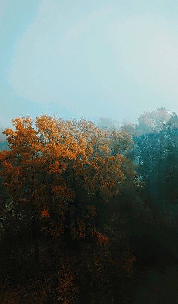 Photograph by Денис Терехин