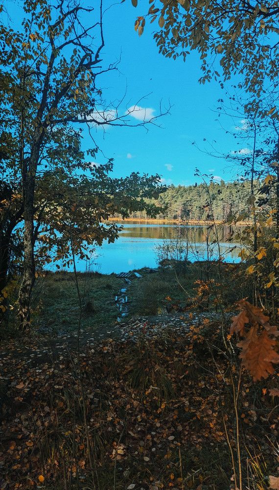 Photograph by Денис Терехин