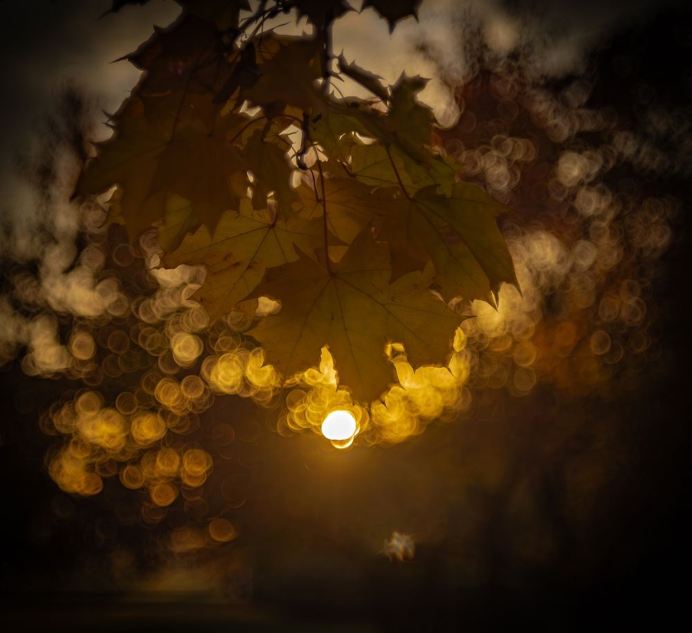 Photograph by Сергей Басов