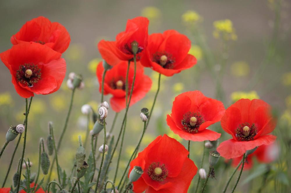 Photograph by Титова Наталья