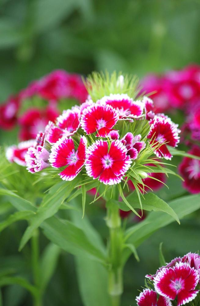 Photograph by Титова Наталья