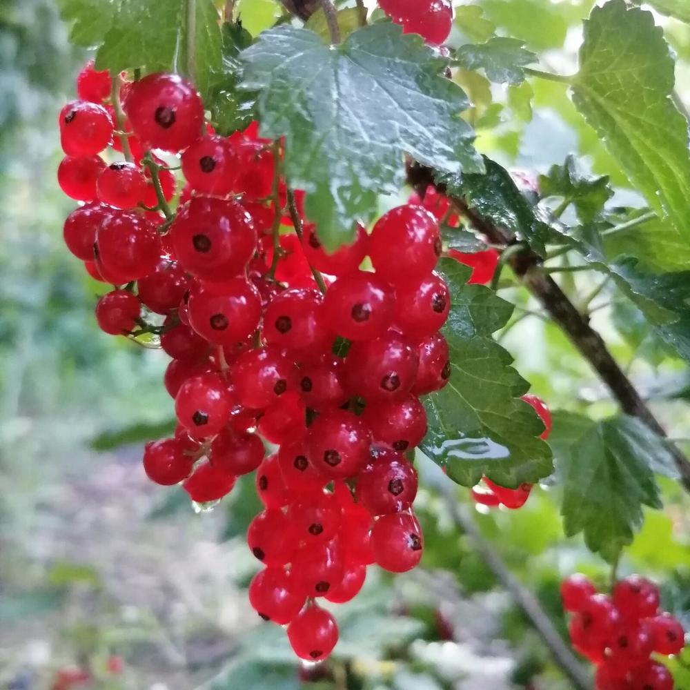 Photograph by Титова Наталья