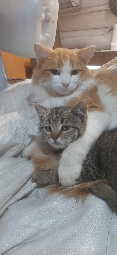 Photograph by Георгий Салюков