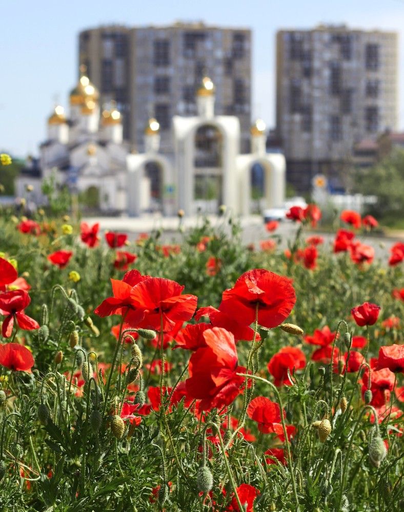 Photograph by Наталья Шевелева